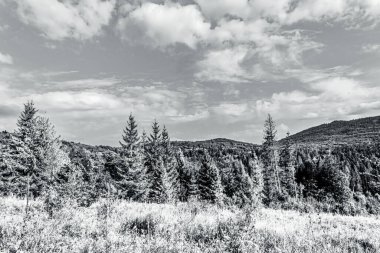 Dağ manzarasının siyah beyaz fotoğrafı.