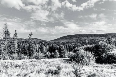 black and white norway mountains