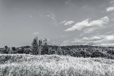 Dağların güzel manzarası