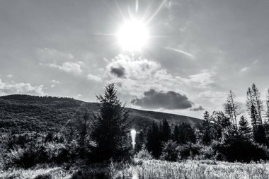 Ağacı ve dağı olan güzel bir manzara.