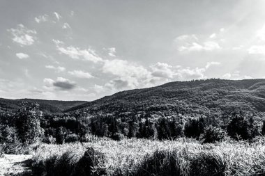 beautiful mountain landscape with a tree in the background.