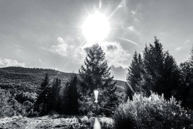 Doğanın güzel manzarası