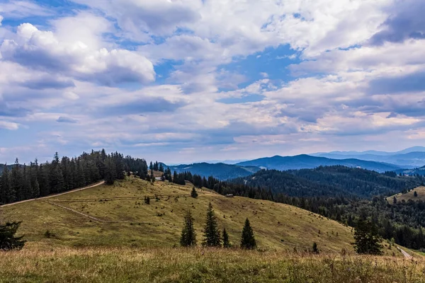 Dağlarla ve ormanlarla dolu yaz manzarası.