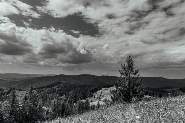 the black mountains in the carpathians