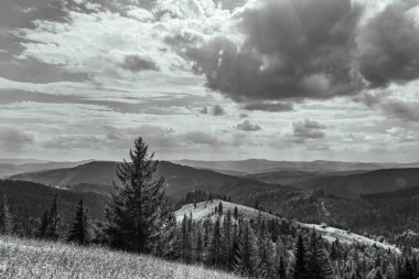 a beautiful shot of a landscape from the top of a mountain