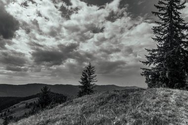 a black and white shot of a mountain landscape with a forest on a hill under a cloudy sky