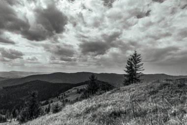 the mountain and cloudy sky in the black forest.