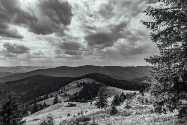 Ukrayna Karpatları 'ndaki Karpatlar.