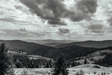 güzel yaz dağ manzarası