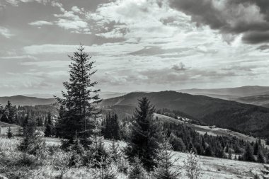 Dağ büyük Thach doğal park