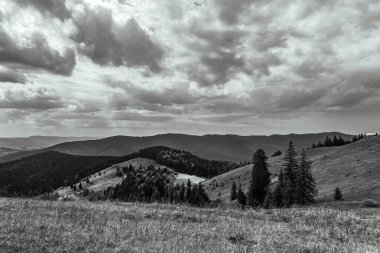 the mountains in the carpathians. black and white clouds.
