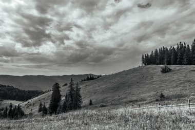 Ağaçlı güzel dağ manzarası