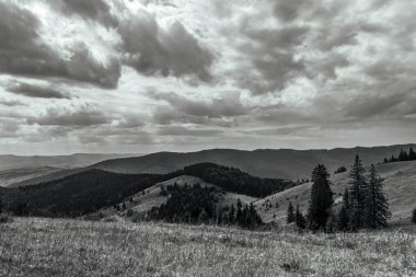the mountains in the carpathians. the black - white mountains.