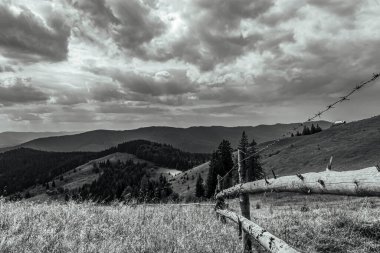 Landscapes, Forest, Carpathians, Photos of nature -Black and white photos, monochrome photos - Europe, Eastern Europe