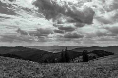 the beautiful landscape of the mountains in the carpathians