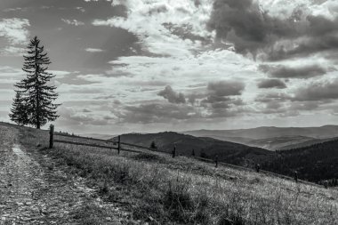 Dağları ve ormanı olan güzel bir manzara.