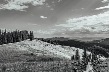 Karpatlar'ın güzel dağlarda