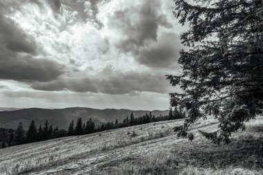 the mountain landscape in black and white, carpathian mountains
