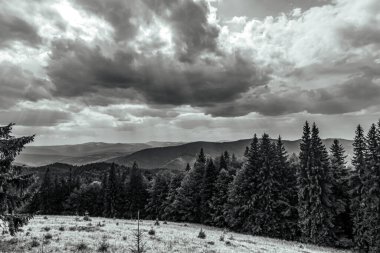 black and white clouds over the mountains in the ukrainian carpathians. aerial view.