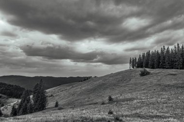 Dağların güzel manzarası