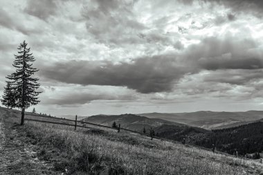 Dağların güzel manzarası