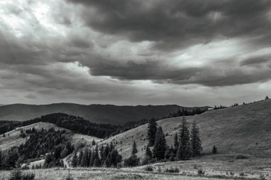 Siyah ve beyaz fırtına bulutları bir orman üzerinde