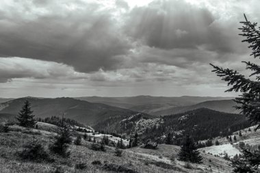 the black mountains of carpathians in the summer