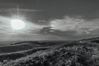 Dağları ve ağaçları olan güzel bir manzara.