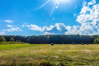 saman balyaları sahada