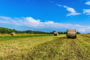 saman balyası tarlada