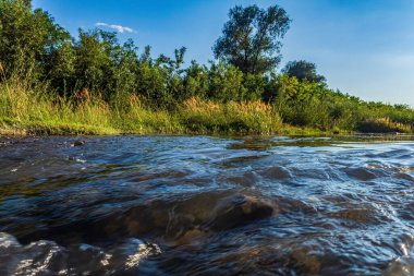 Peyzaj, Orman, Karpatlar, Doğa Fotoğrafları - Avrupa, Doğu Avrupa