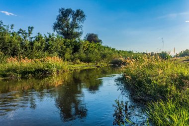 a beautiful landscape of a forest with a pond and a small river in the distance
