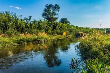 landscape of a river with a green forest and a blue sky