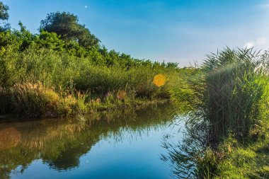Nehir ve gölü olan güzel bir manzara.