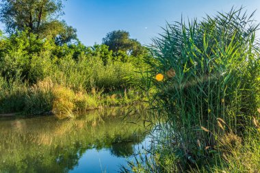 Nehir ve gölü olan güzel bir manzara.
