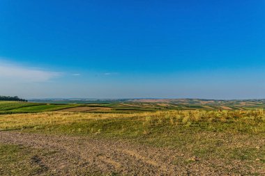 Kırsal kesimde güzel bir yeşil arazi manzarası