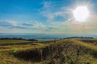 Ağaçlar ve mavi gökyüzü olan güzel bir manzara.