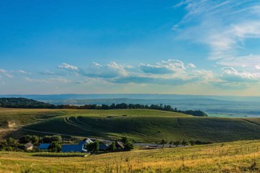 Yeşil bir tarlanın güzel manzarası