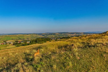 Köyün güzel manzarası