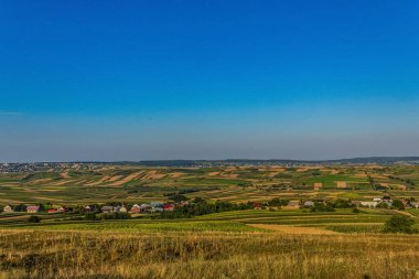 Çimen ve mavi gökyüzü olan güzel bir manzara.