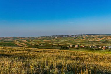 beautiful summer scenery with green grass and hills