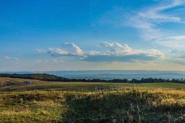 beautiful summer landscape with a beautiful sunset