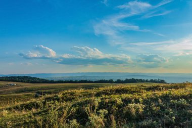 a beautiful landscape in the carpathian mountains. ukraine in europe.