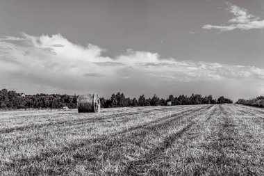 a vertical shot of a beautiful scenery of a field under the cloudy sky in spain