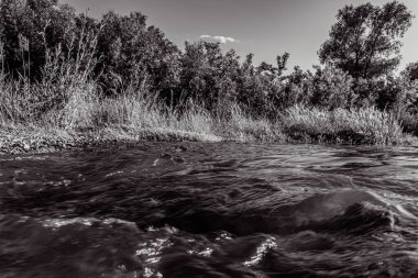 black and white photo of a beautiful river in the summer