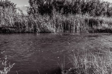 river and river in black and white