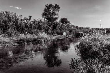 Nehir ve gölü olan güzel bir manzara.