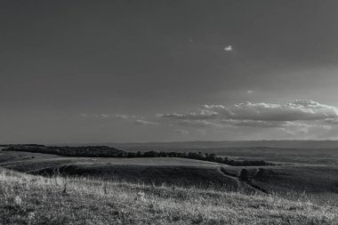 the black and white landscape