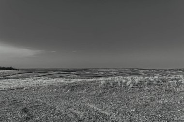 Ağaçlı ve ağaçlı güzel bir manzara.