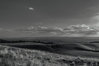 black and white landscape of the countryside in the czech republic